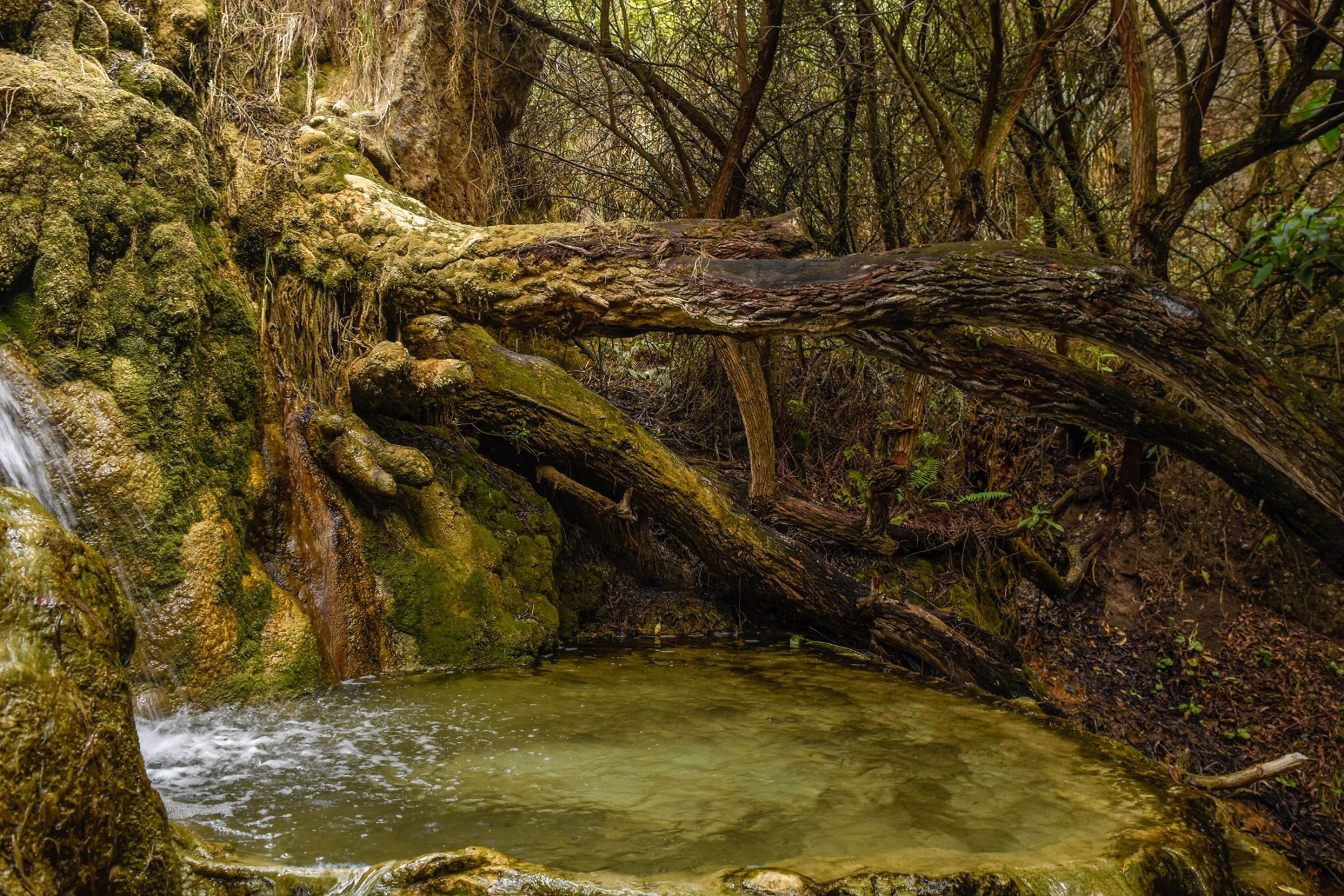 Sotoccmachay ("dripping cave", in Quechua)